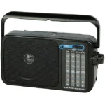 Radio Fm portabil Blow cu baterii sau retea